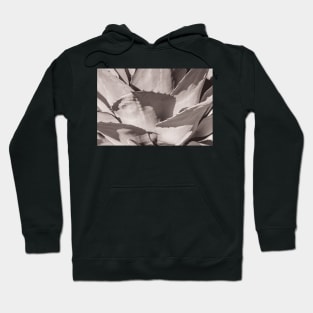 Barbed wonder Hoodie